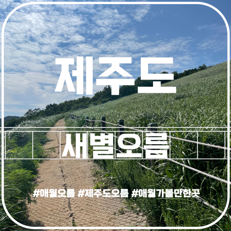 제주도오름 새별오름 애월가볼만한곳 애월오름 제주도오름 새별오름 애월가볼만한곳 애월오름