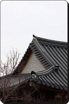 지붕위에 올라가는 꿈 지붕에 꽃이 피는 꿈 지붕꿈