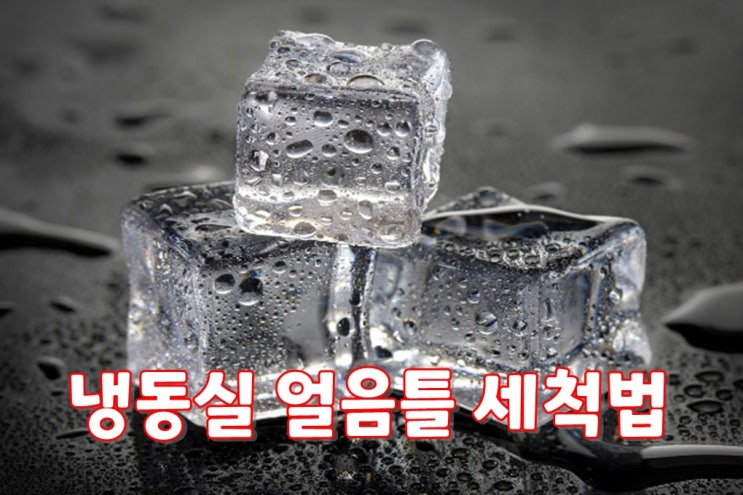  얼음에 세균이 득실거린다고?! 냉동실 얼음틀 세척법 청소업체 크린리더가 알려드리는 시간!