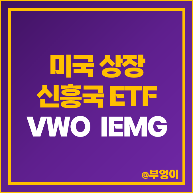 미국 상장 신흥국 ETF VWO IEMG 인덱스펀드 MSCI 지수 분류