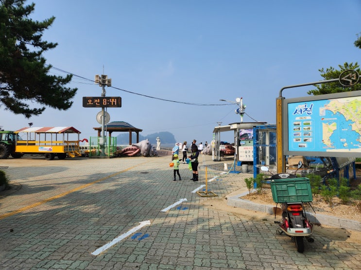  여름휴가-선도리 갯벌마을 - 조개 캐기,해루질