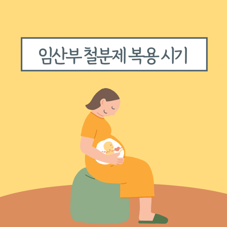 임산부 철분제 복용 시기와 복용 권장량, 올바른 철분 섭취 방법