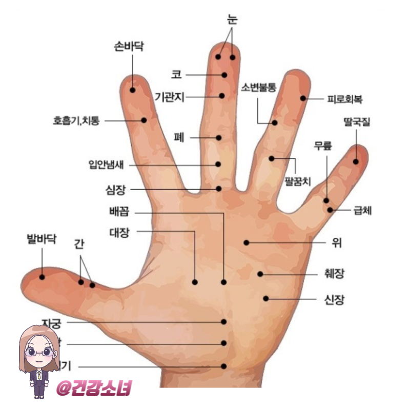 손바닥 지압 혈자리 이거하나로 건강찾자 : 네이버 블로그