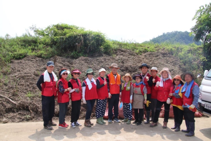  수해복구 자원봉사 활동