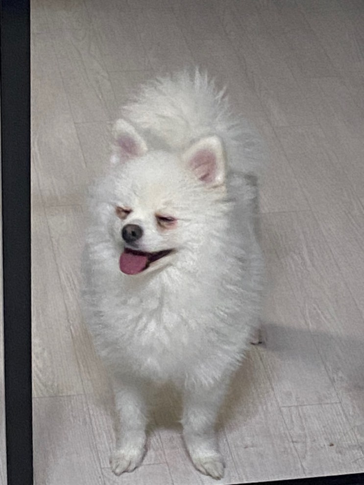  [룩또]이번주 1079회 로또 당첨번호 조합 추천, 지난주 당첨금 조회
