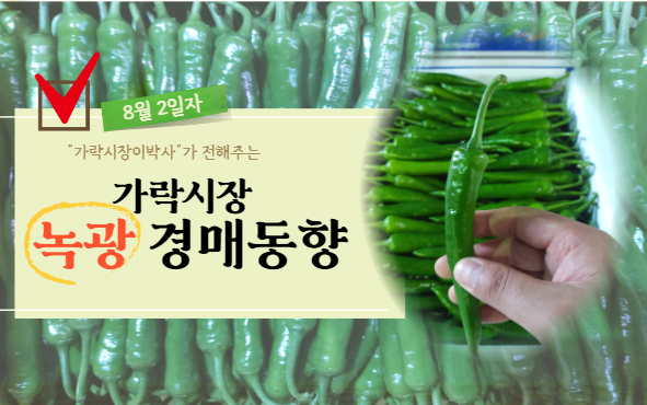  [경매사 일일보고] 8월 2일자 가락시장 녹광 경매동향을 살펴보겠습니다!