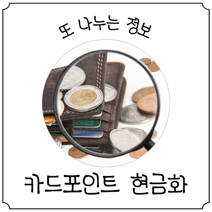  카드포인트 통합조회로 숨은 돈을 빠르게 현금화해보자