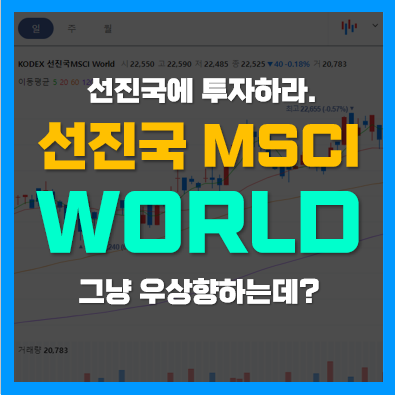 MSCI 지수 투자 KODEX 선진국 MSCI World 분석, 수익률 및 분배금 지급일 등