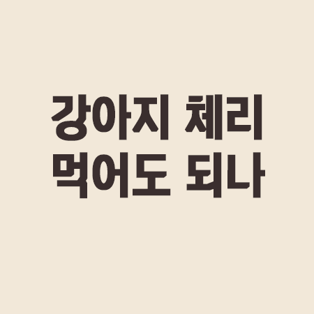 강아지 체리 독성 성분, 체리씨 섭취 주의