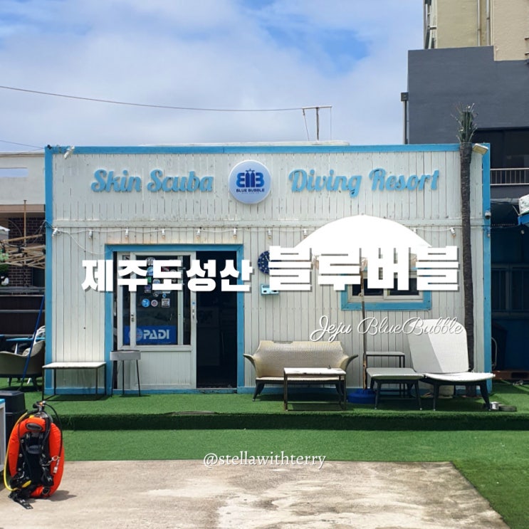  [제주도여행] 성산 스킨스쿠버 블루버블! 스쿠버다이빙 내돈내산 이용후기·비용·선택기준