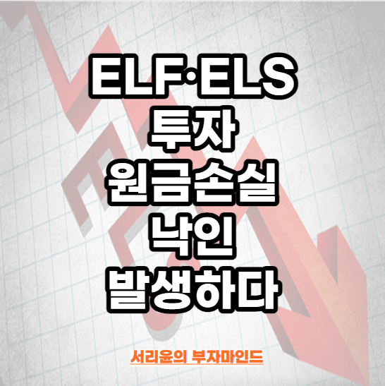  ELF·ELS 투자 원금손실 및 낙인 발생하다 (Ft. HSCEI지수 및 홍콩H지수)