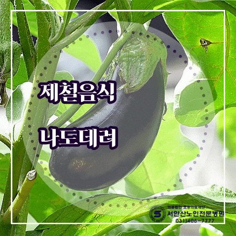  제철음식 여름가지요리
