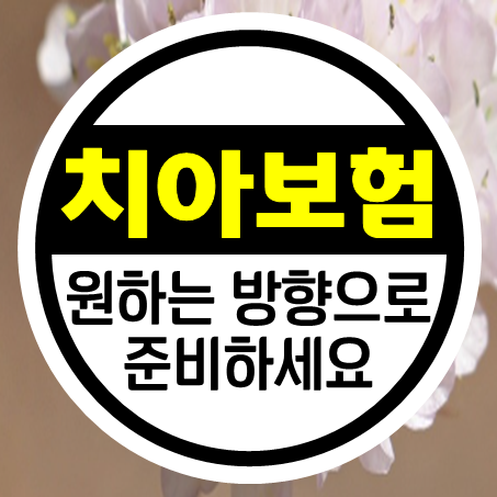  치아보험 비용 부담스럽지 않게 부모님치아보험 준비할 수 있어요.