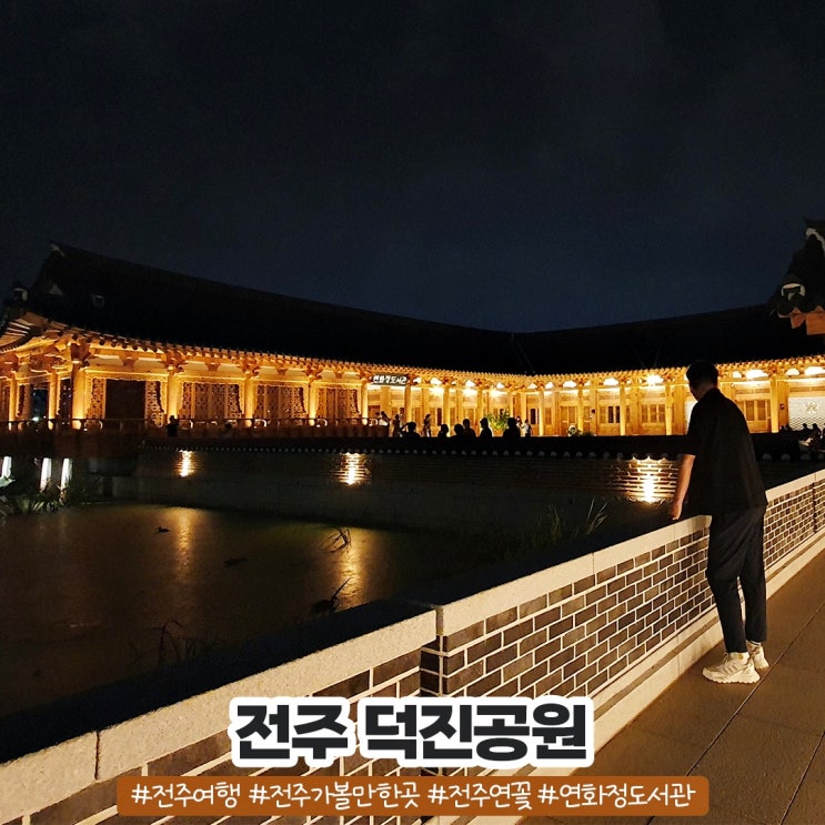 전주 덕진공원 야경과 연꽃 전주 덕진공원 야경과 연꽃