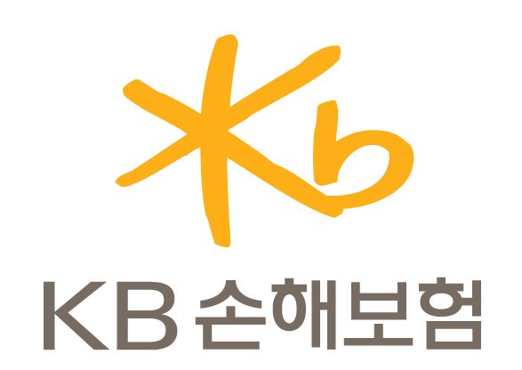 KB손해보험, 실손보험 약관과 다른 주장...보험금 지급 거부 KB손해보험, 실손보험 약관과 다른 주장...보험금 지급 거부