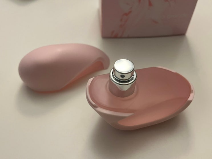  아리아나 그란데 향수 (7) 모드 블러쉬 후기 / ariana grande perfume mod BLUSH / 클라우드핑크 출시