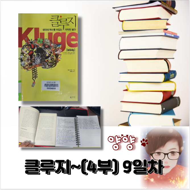  클루지~ (4부) 9일차
