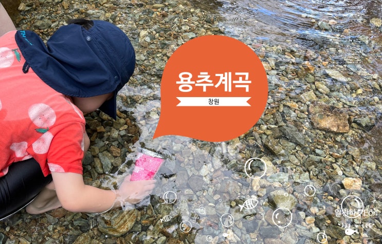  창원 용추계곡 물놀이 시원해요