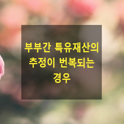  이혼 시 재산분할에서 부부 특유재산의 추정이 번복되는 경우