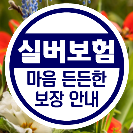  부모님실버보험 마음 든든해지는 시니어보험 알아봤어요.