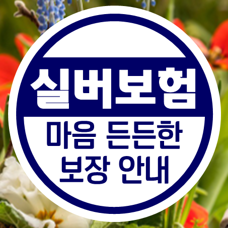 부모님실버보험 마음 든든해지는 시니어보험 알아봤어요.