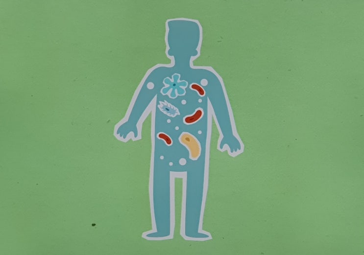 면역력 저하 증상 7가지는? 높이는 방법 및 음식