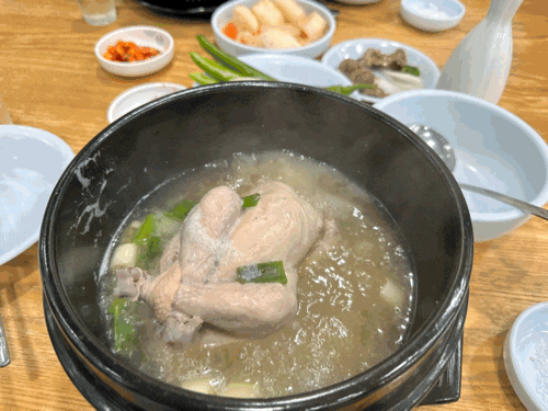  복날엔 대구 시내 삼계탕집 약전 한방 삼계탕에서 몸보신