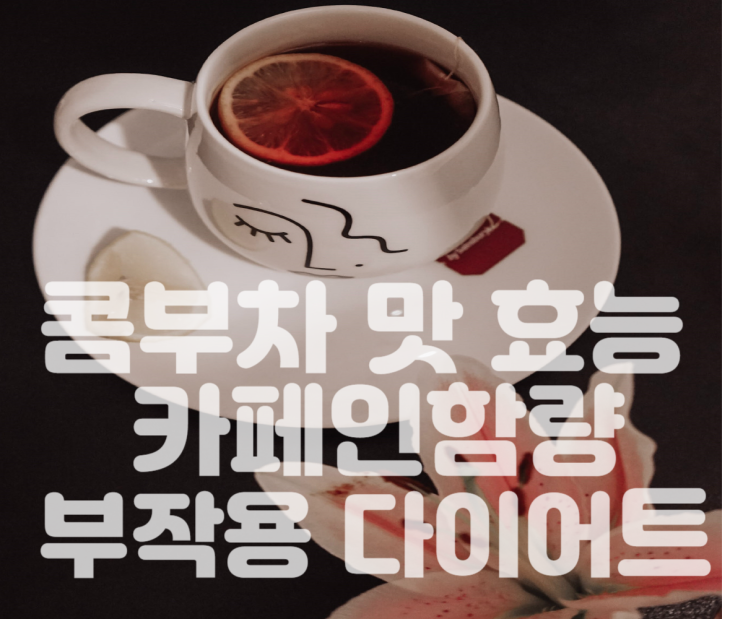  콤부차 맛 효능 당뇨병 스코비 카페인 함량 부작용