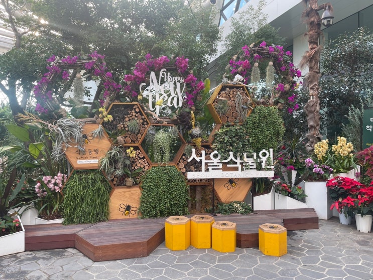  아이와 함께 가볼만한곳 서울식물원
