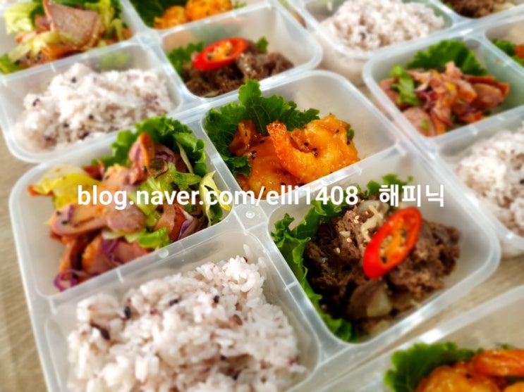 <b>국방과학연구소</b>도시락 [<b>대전</b>수제도시락해피닉 ]