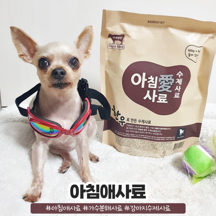아침애사료 기호성 대박인 강아지수제사료 아침애사료 기호성 대박인 강아지수제사료