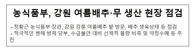 농식품부, 강원 여름배추·무 생산 현장 점검 농식품부, 강원 여름배추·무 생산 현장 점검