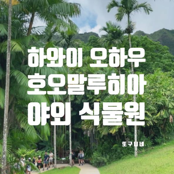  하와이 오하우 여행 호오말루히아 식물원