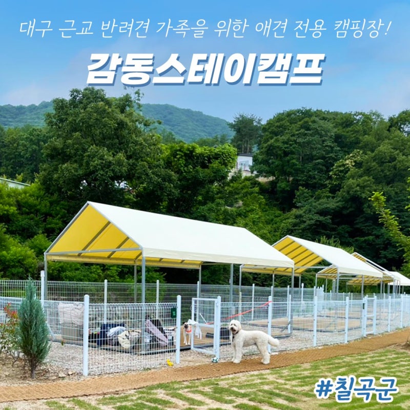 사진 13