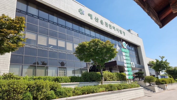  10년 만에 운전면허증 갱신했다. 모바일 운전면허증 발급 : 예산 운전면허 시험장 운전면허증 갱신