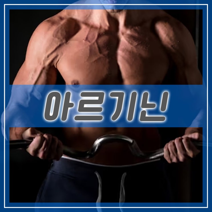  L아르기닌 효능과 부작용, 적정 섭취량