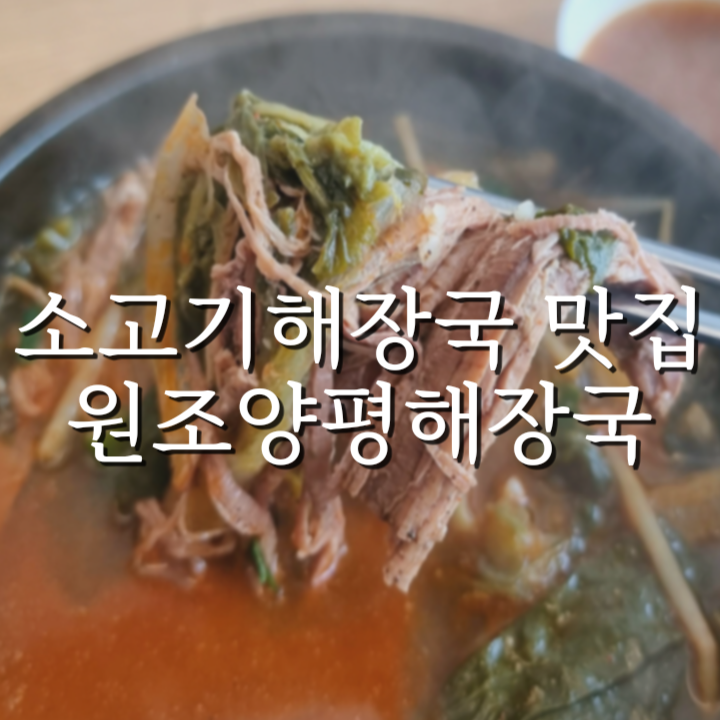  포천 원조양평해장국 내촌점에서 우거지 들어간 소고기해장국