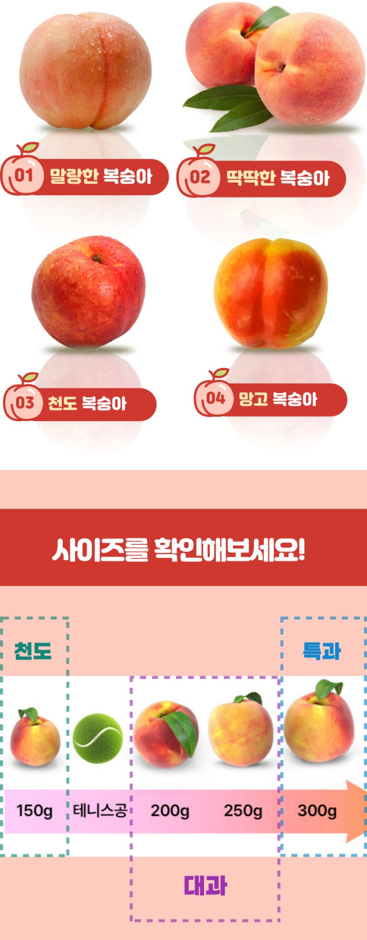  천도복숭아 망고복숭아 백도 황도 딱딱이복숭아 말랑이복숭아 여기서 구매 하세요
