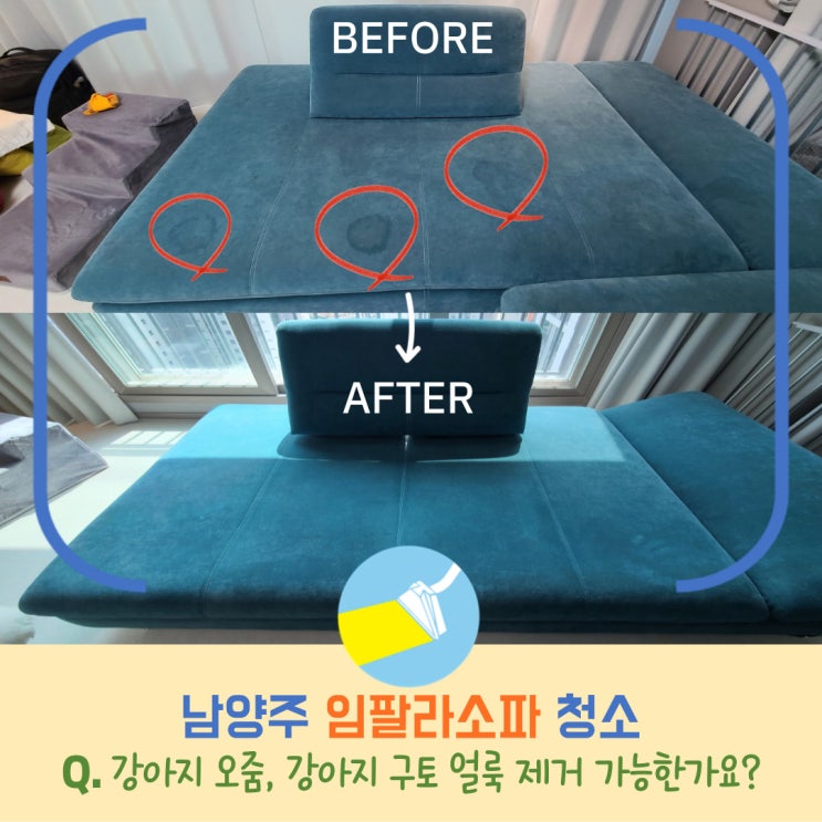  남양주 임팔라 소파 청소, 강아지오줌, 강아지구토 얼룩 제거 전문업체에 맡기세요.