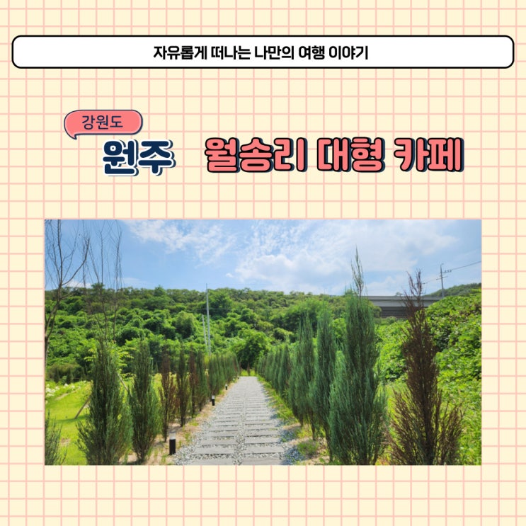  원주 지정면 대형카페 모멘도르 기업도시 수국 카페 이뻐요