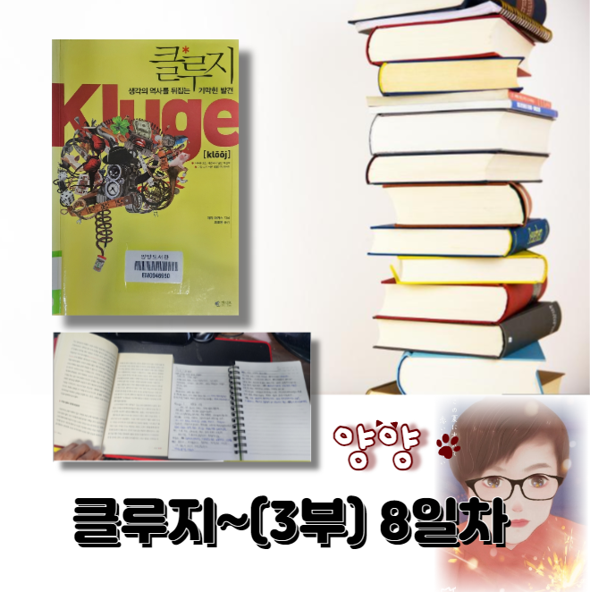  클루지~ (3부) 8일차