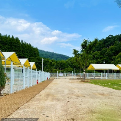 사진 14