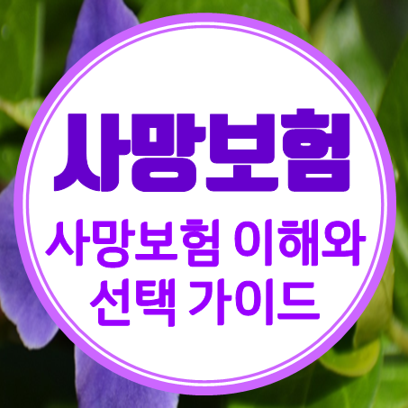  사망보험 가입 하나씩 짚어보는 사망보장보험