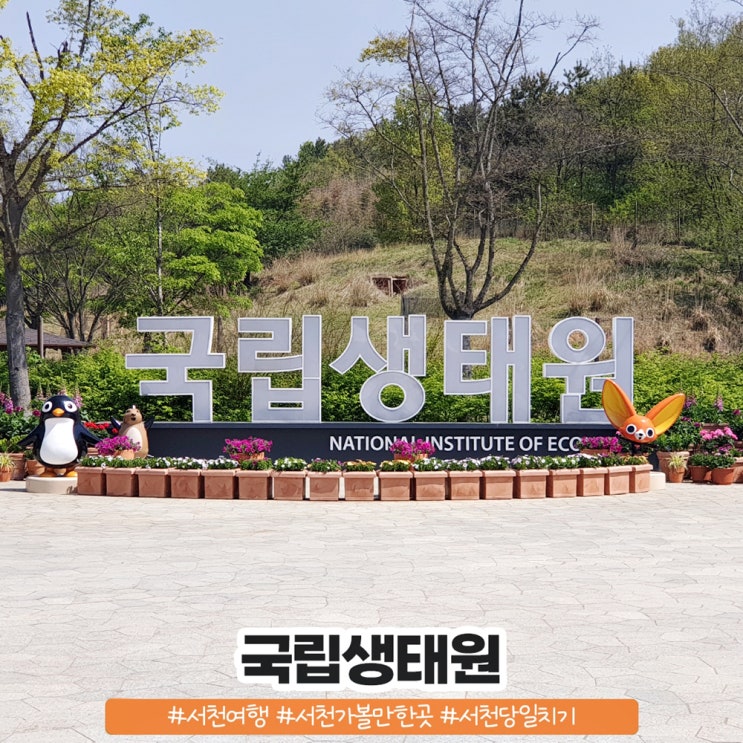 서천 국립생태원 아이도 어른도 좋아해요 서천 국립생태원 아이도 어른도 좋아해요