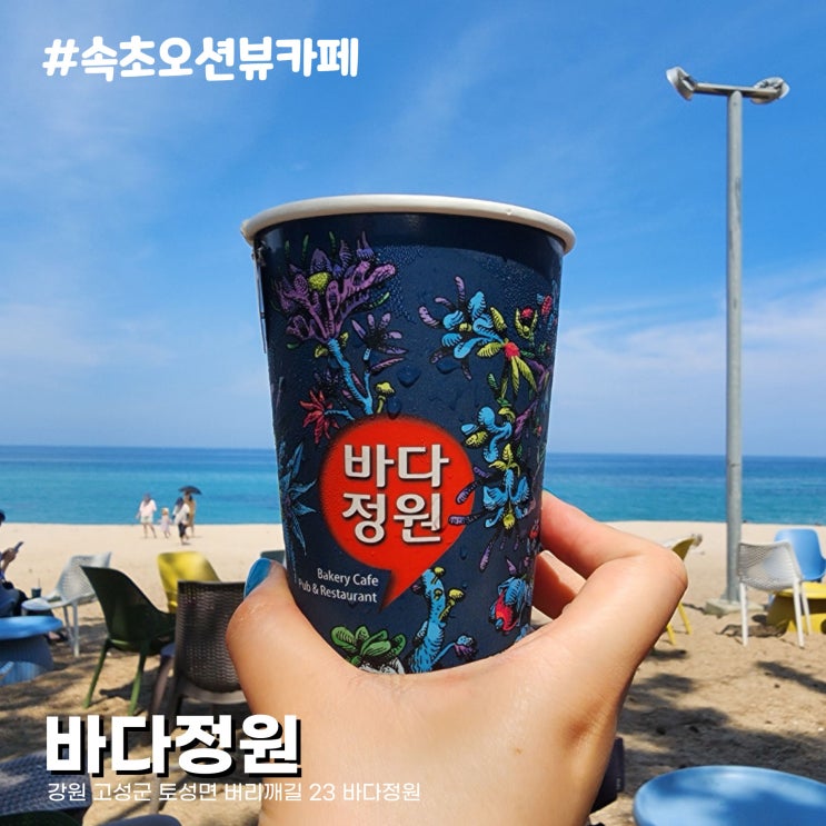  루프탑 오션뷰 해변에서 즐기는 커피 한 잔 강원도 고성 속초카페거리 카페 바다정원