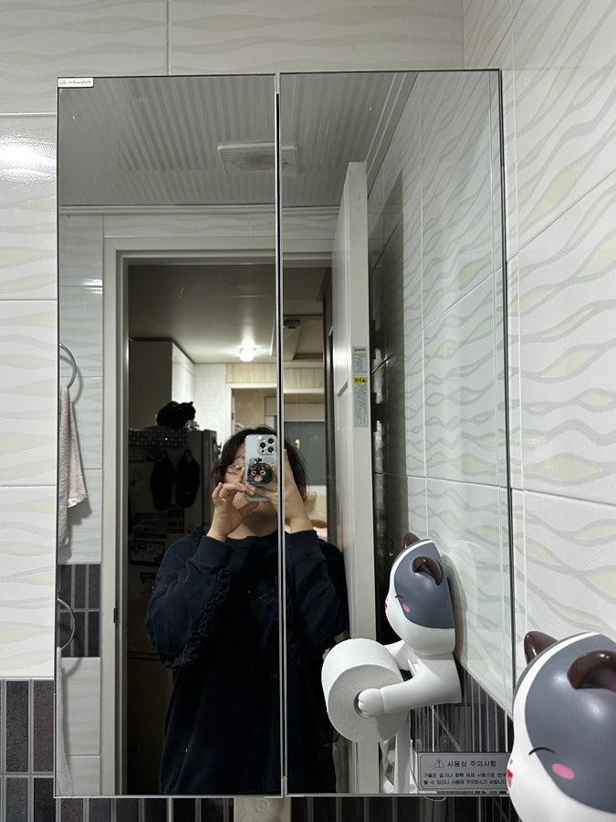 [내돈내산] 깔끔한 거울장, 닥터바스 욕실 수납장