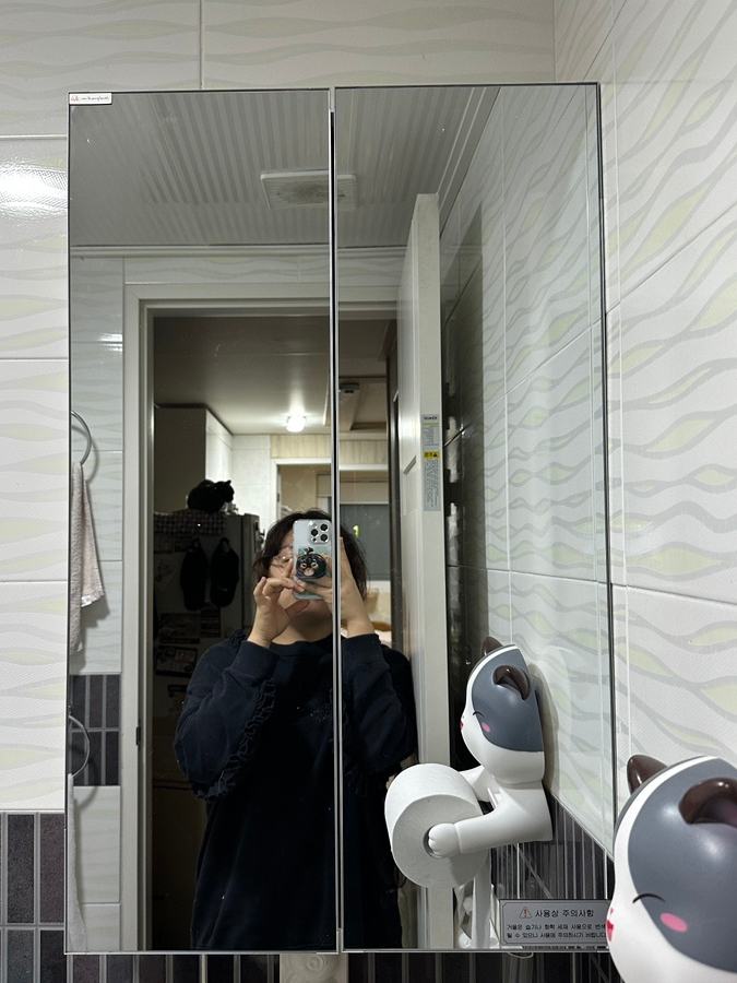  [내돈내산] 깔끔한 거울장, 닥터바스 욕실 수납장