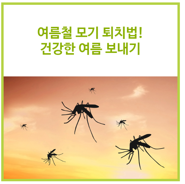  여름철 불청객 모기 퇴치방법 알아보기!