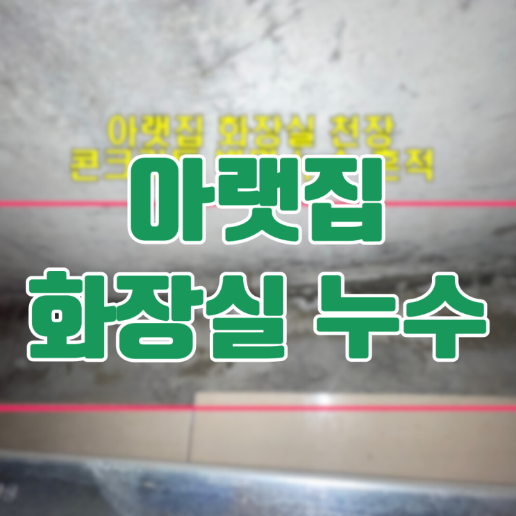  화성 아파트 아랫집 화장실 누수-혐오스러운 곰팡이