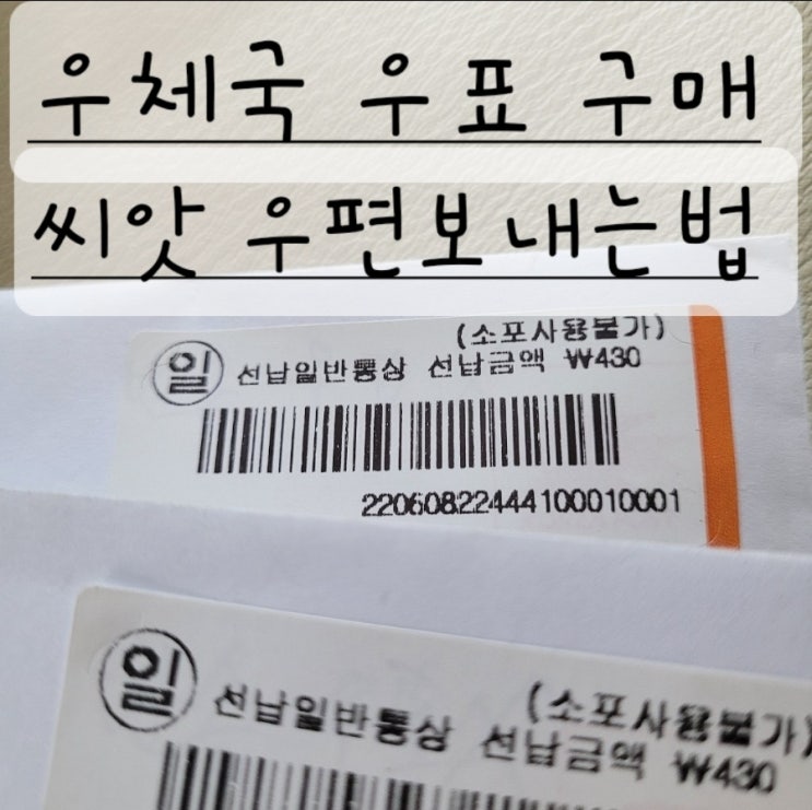  우체국 우표 구매, 씨앗 일반 우편 보내는 법